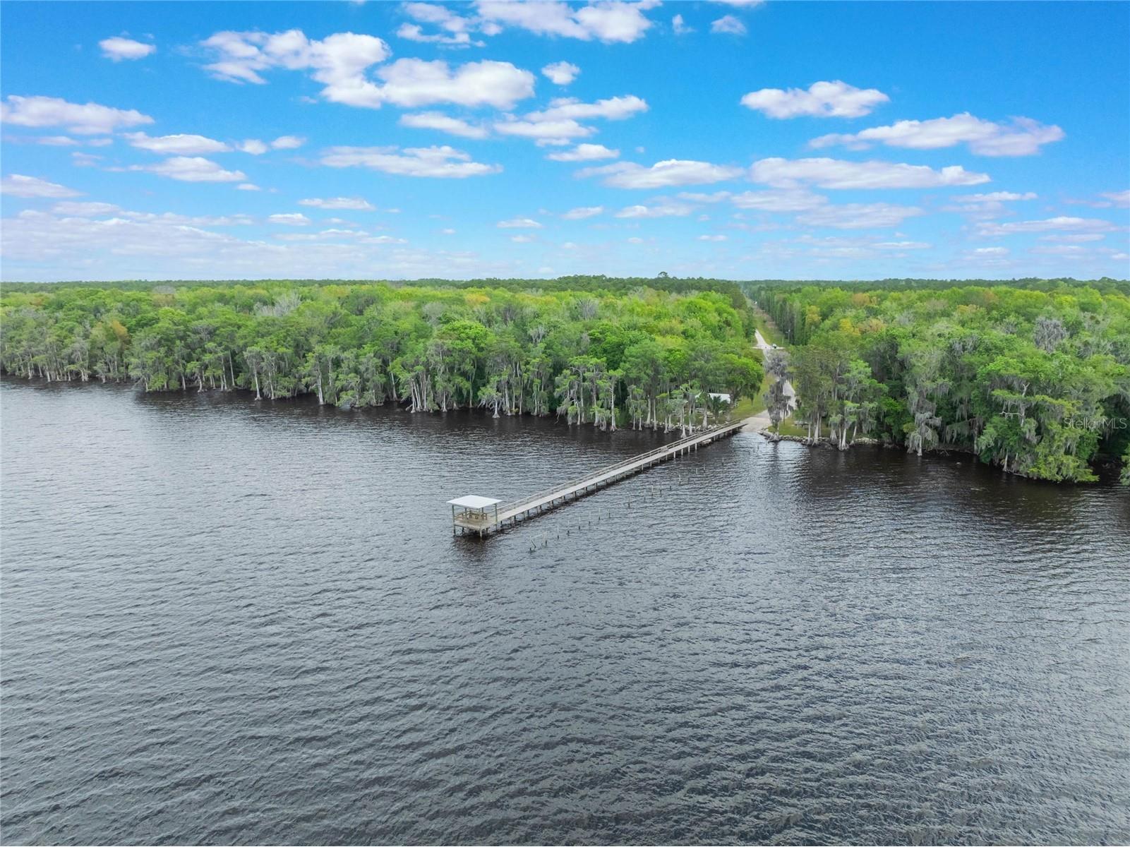 515 Gardenia Avenue Georgetown FL 32139 - LAKE GEORGE AND ST JOHNS RIVER O6213250 image13
