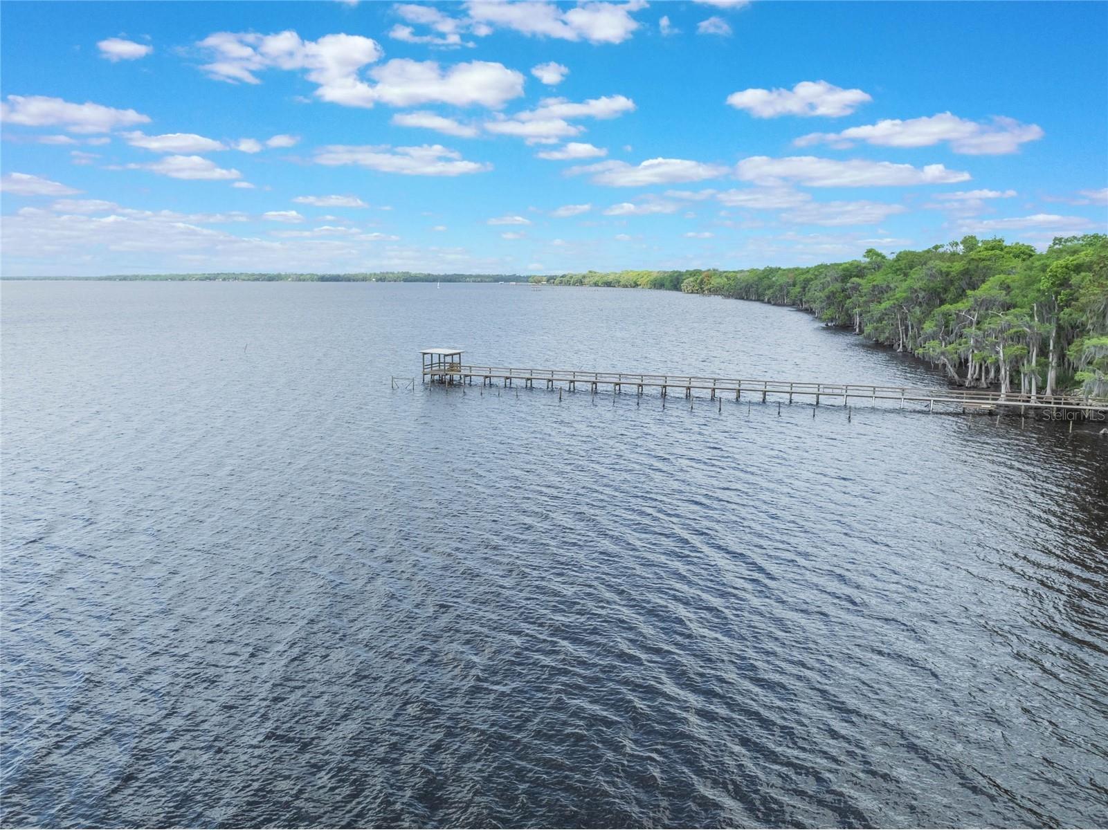 515 Gardenia Avenue Georgetown FL 32139 - LAKE GEORGE AND ST JOHNS RIVER O6213250 image18