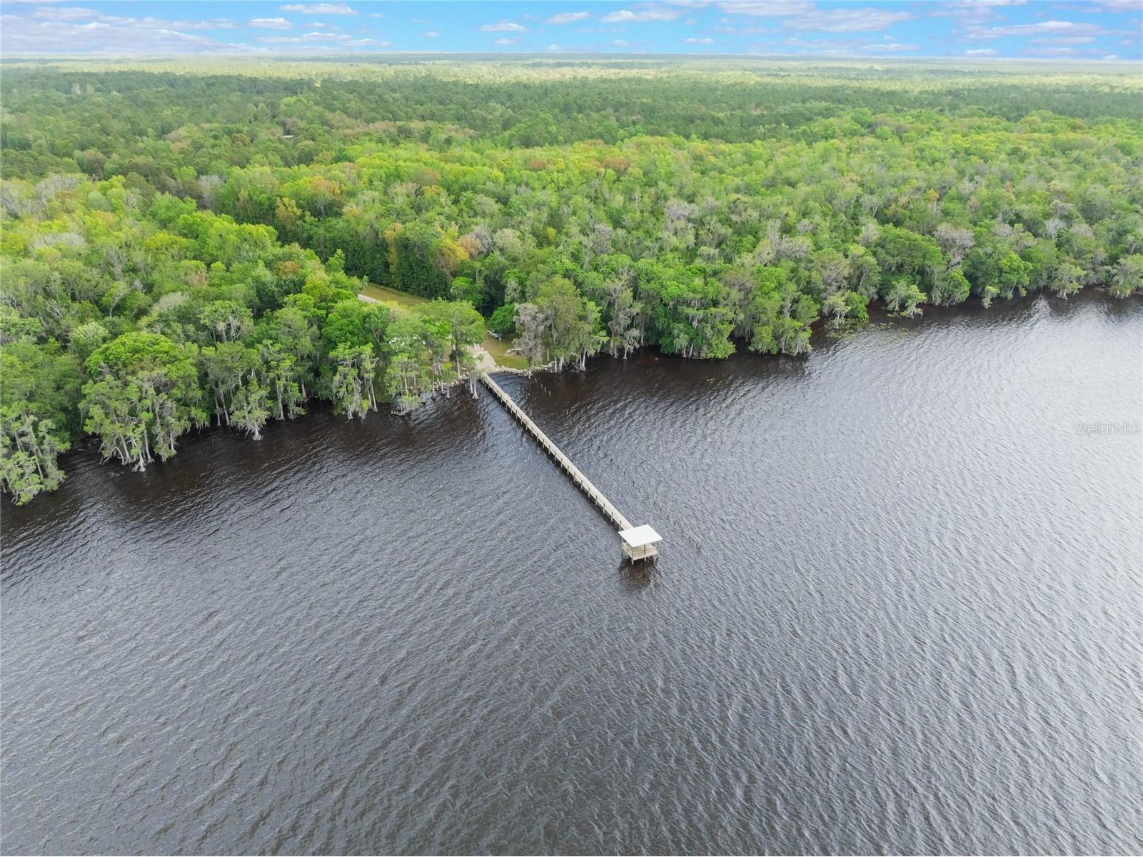 515 Gardenia Avenue Georgetown FL 32139 - LAKE GEORGE AND ST JOHNS RIVER O6213250 image23