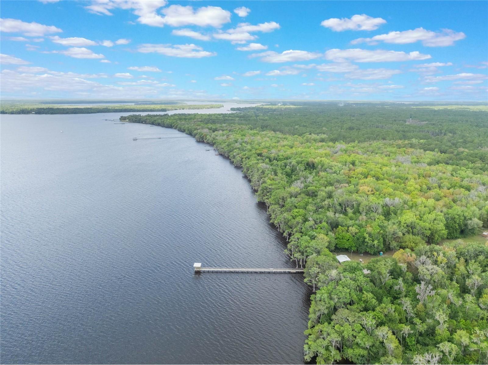 515 Gardenia Avenue Georgetown FL 32139 - LAKE GEORGE AND ST JOHNS RIVER O6213250 image24