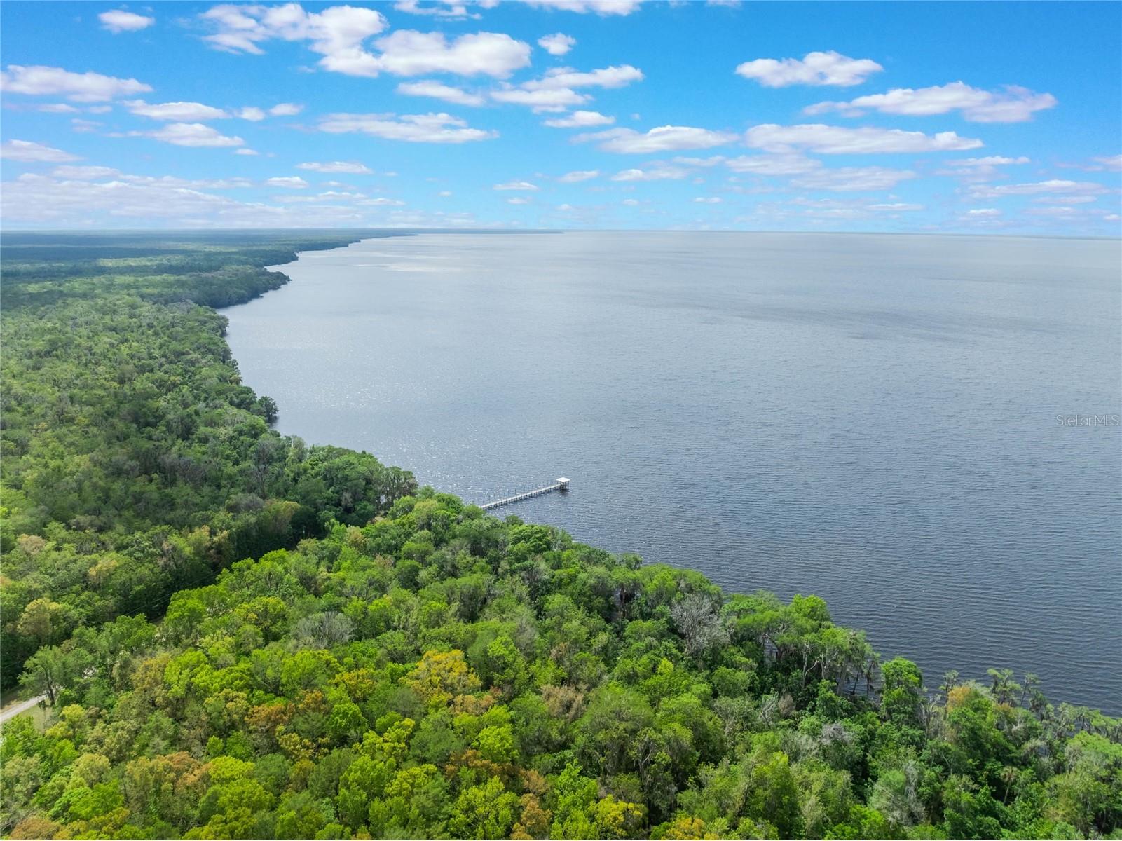 515 Gardenia Avenue Georgetown FL 32139 - LAKE GEORGE AND ST JOHNS RIVER O6213250 image26