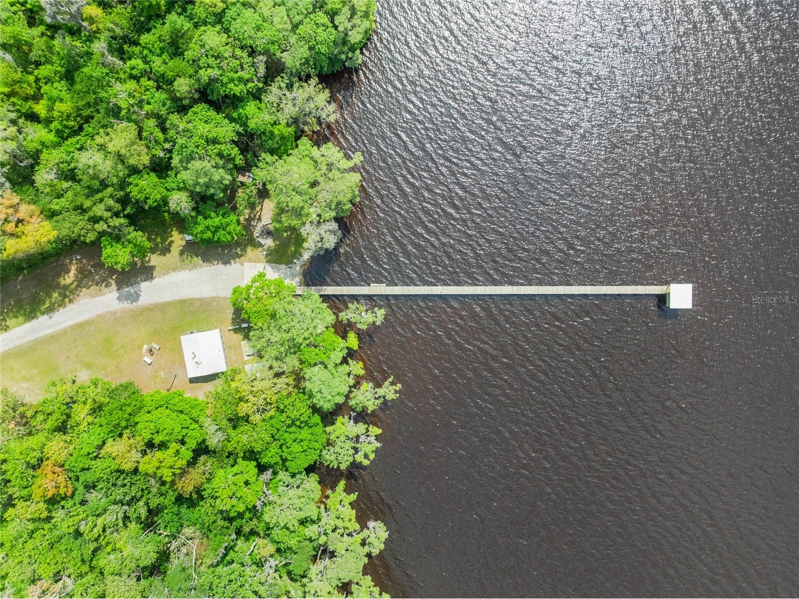 515 Gardenia Avenue Georgetown FL 32139 - LAKE GEORGE AND ST JOHNS RIVER O6213250 image27