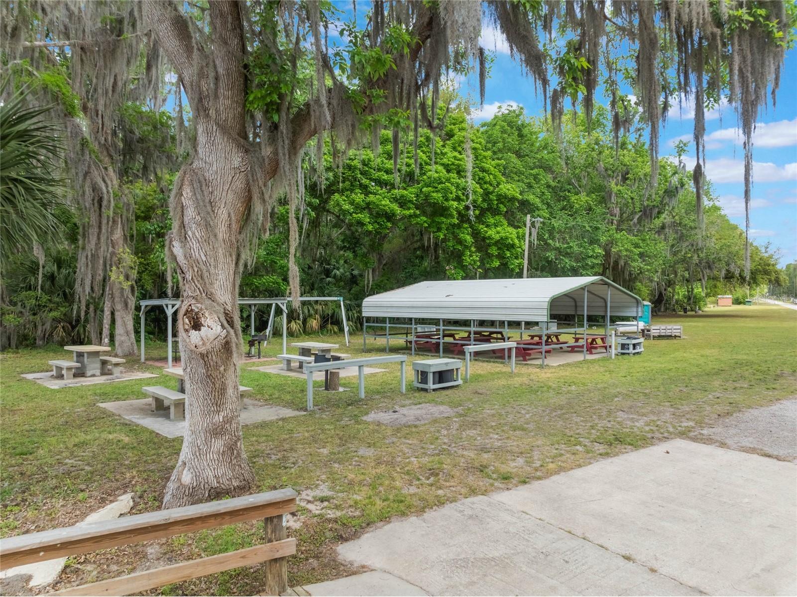 515 Gardenia Avenue Georgetown FL 32139 - LAKE GEORGE AND ST JOHNS RIVER O6213250 image29