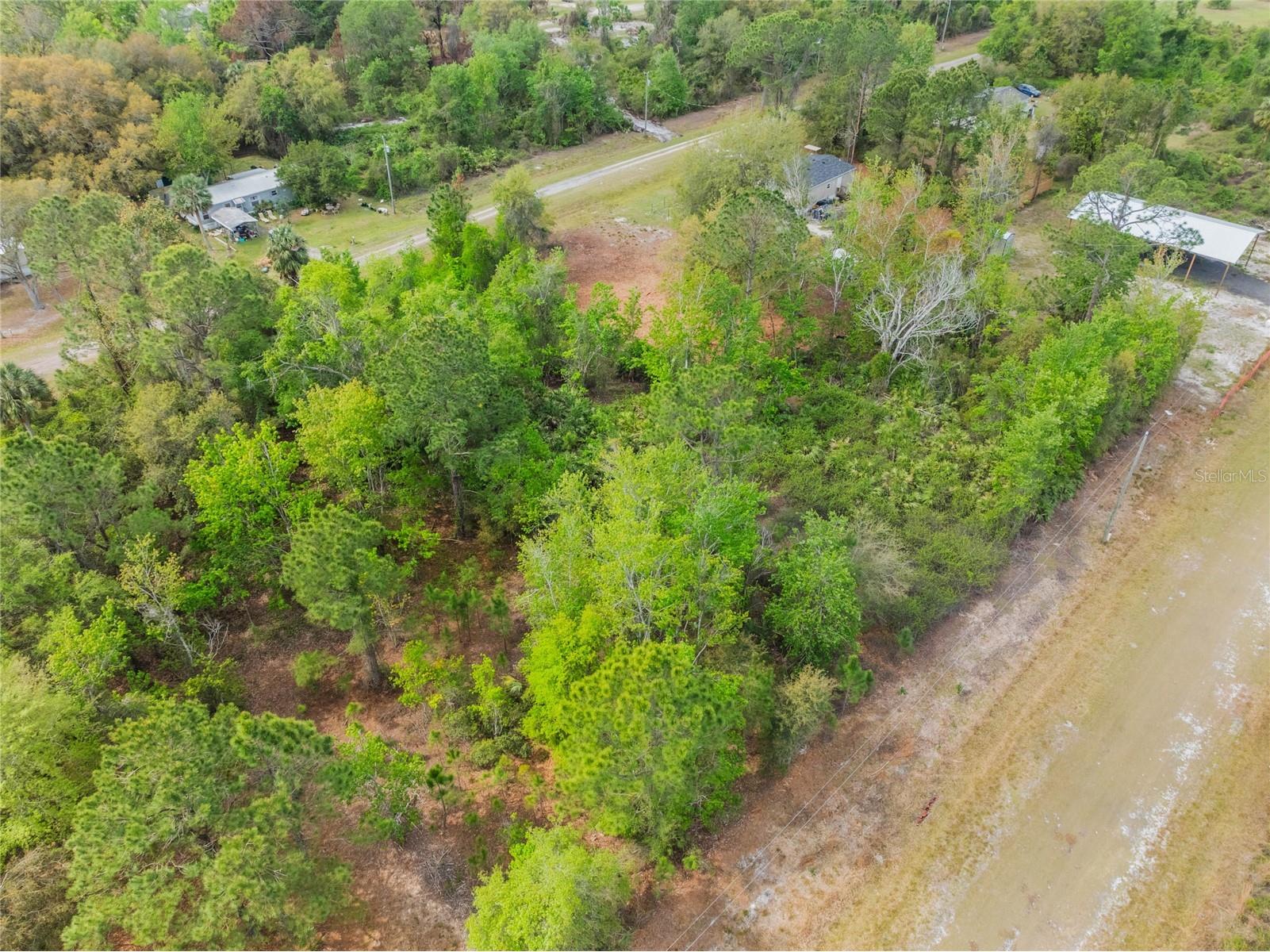 515 Gardenia Avenue Georgetown FL 32139 - LAKE GEORGE AND ST JOHNS RIVER O6213250 image3