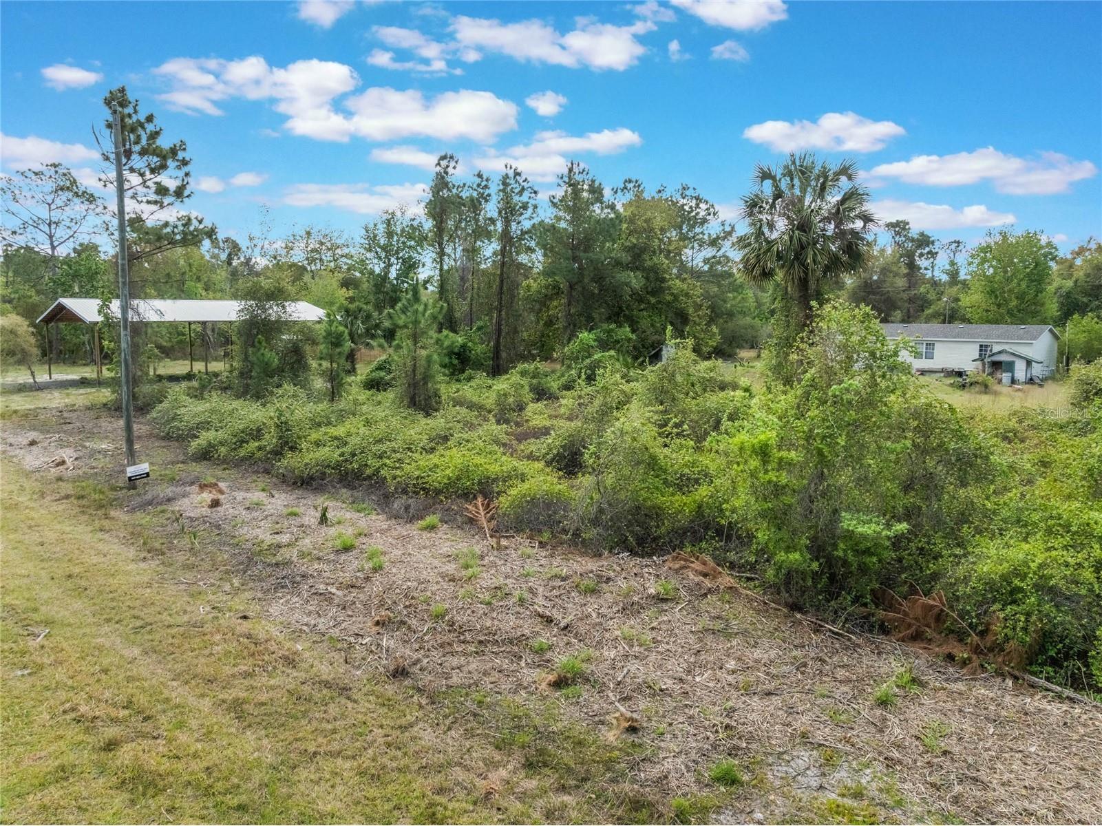 515 Gardenia Avenue Georgetown FL 32139 - LAKE GEORGE AND ST JOHNS RIVER O6213250 image4