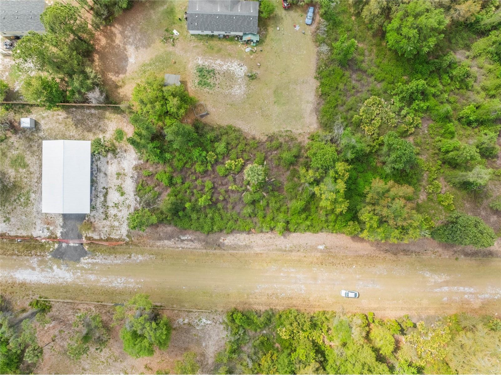 515 Gardenia Avenue Georgetown FL 32139 - LAKE GEORGE AND ST JOHNS RIVER O6213250 image6