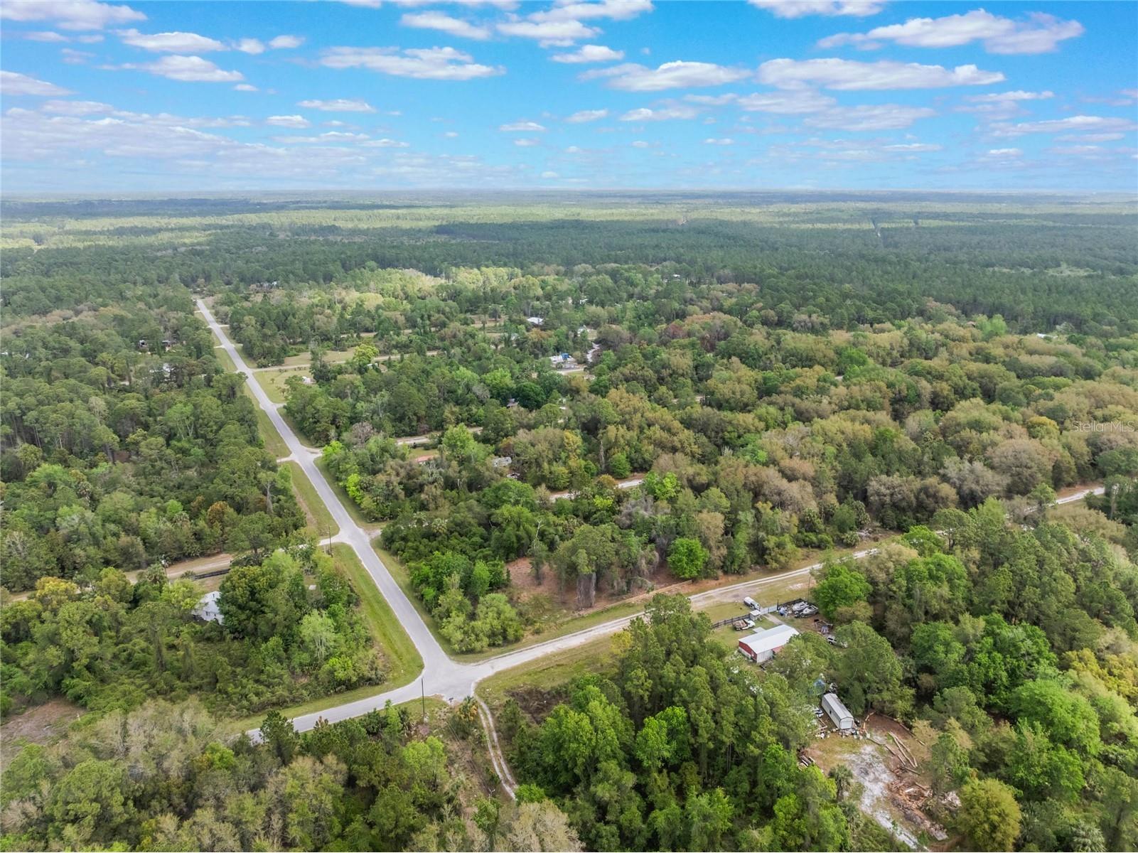 515 Gardenia Avenue Georgetown FL 32139 - LAKE GEORGE AND ST JOHNS RIVER O6213250 image7
