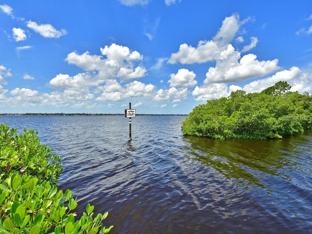 515 Leffingwell Avenue #109 Ellenton FL 34222 - MANATEE RIVER A4657828 image42