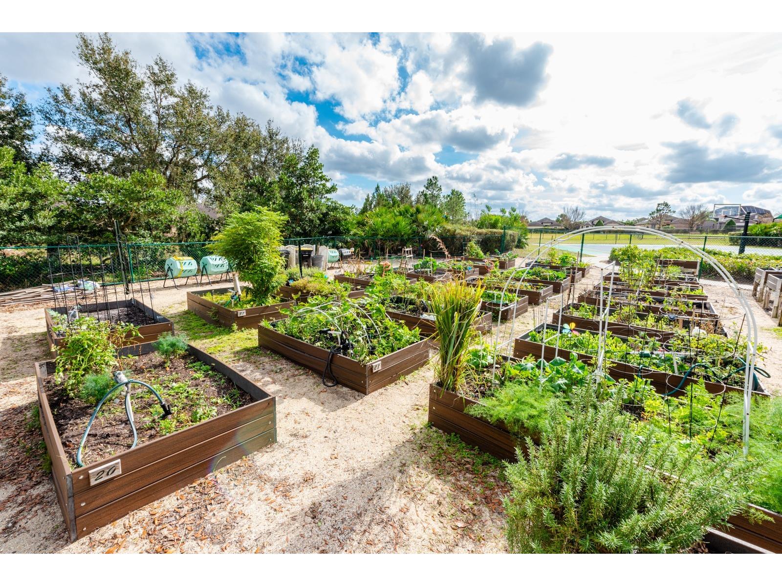 515 Pamplona Place Davenport FL 33837 O6410593 image38