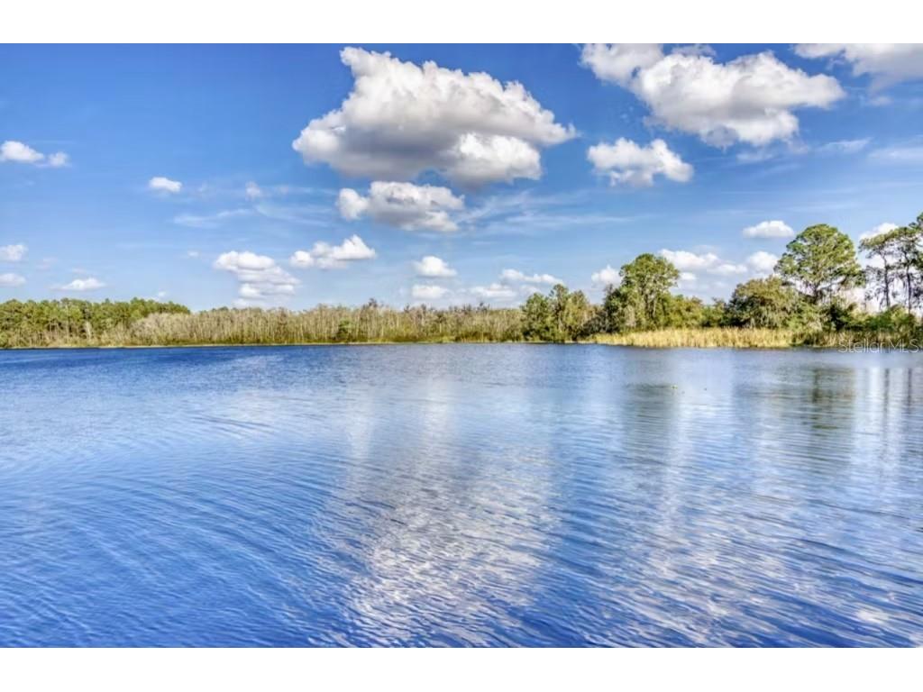 515 Rum Run #33303 Davenport FL 33897 - LAKE DAVENPORT TB8491939 image23
