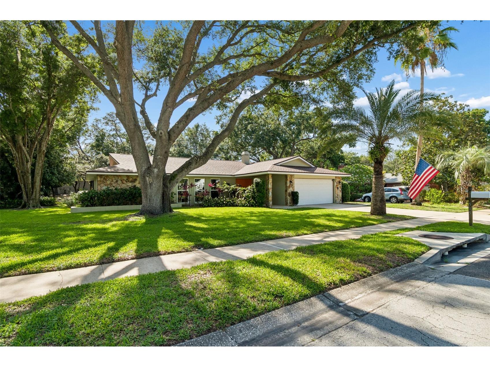 515 Sandy Hook Road Palm Harbor FL 34683 TB8513657 image2
