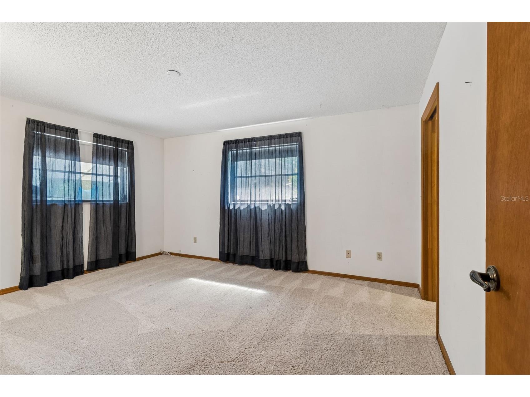 515 Sandy Hook Road Palm Harbor FL 34683 TB8513657 image38