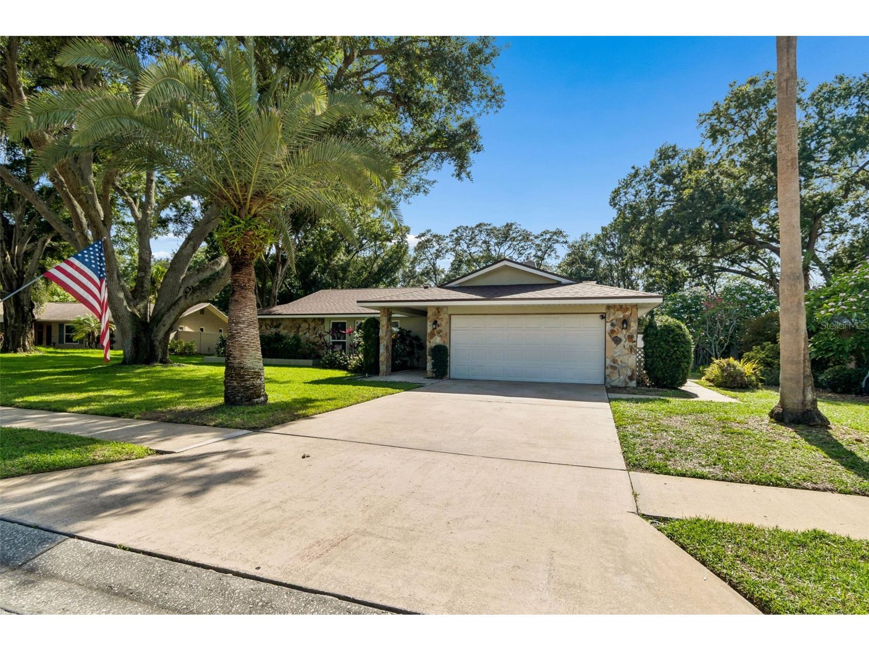 515 Sandy Hook Road Palm Harbor FL 34683 TB8513657 image4