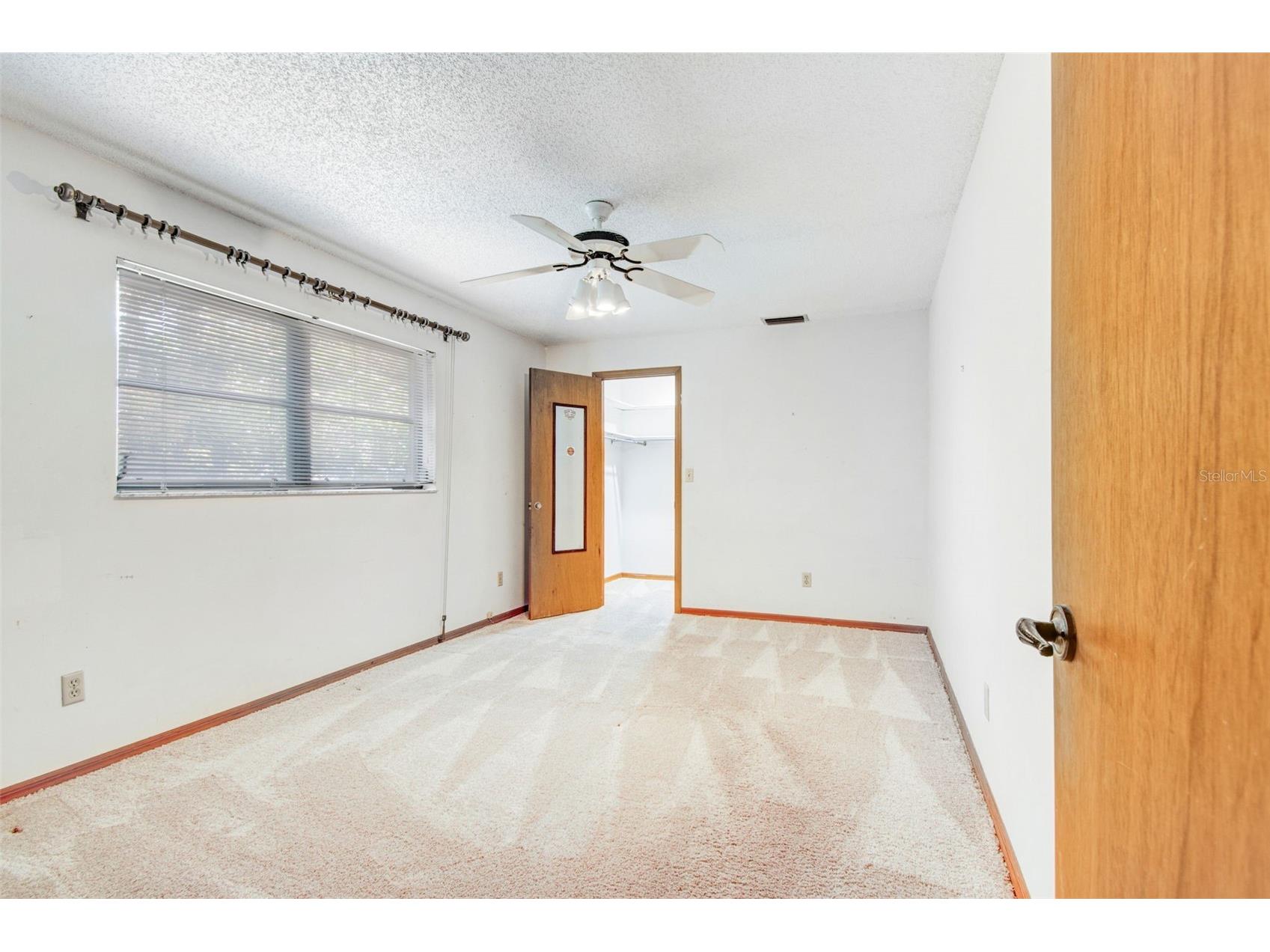 515 Sandy Hook Road Palm Harbor FL 34683 TB8513657 image44
