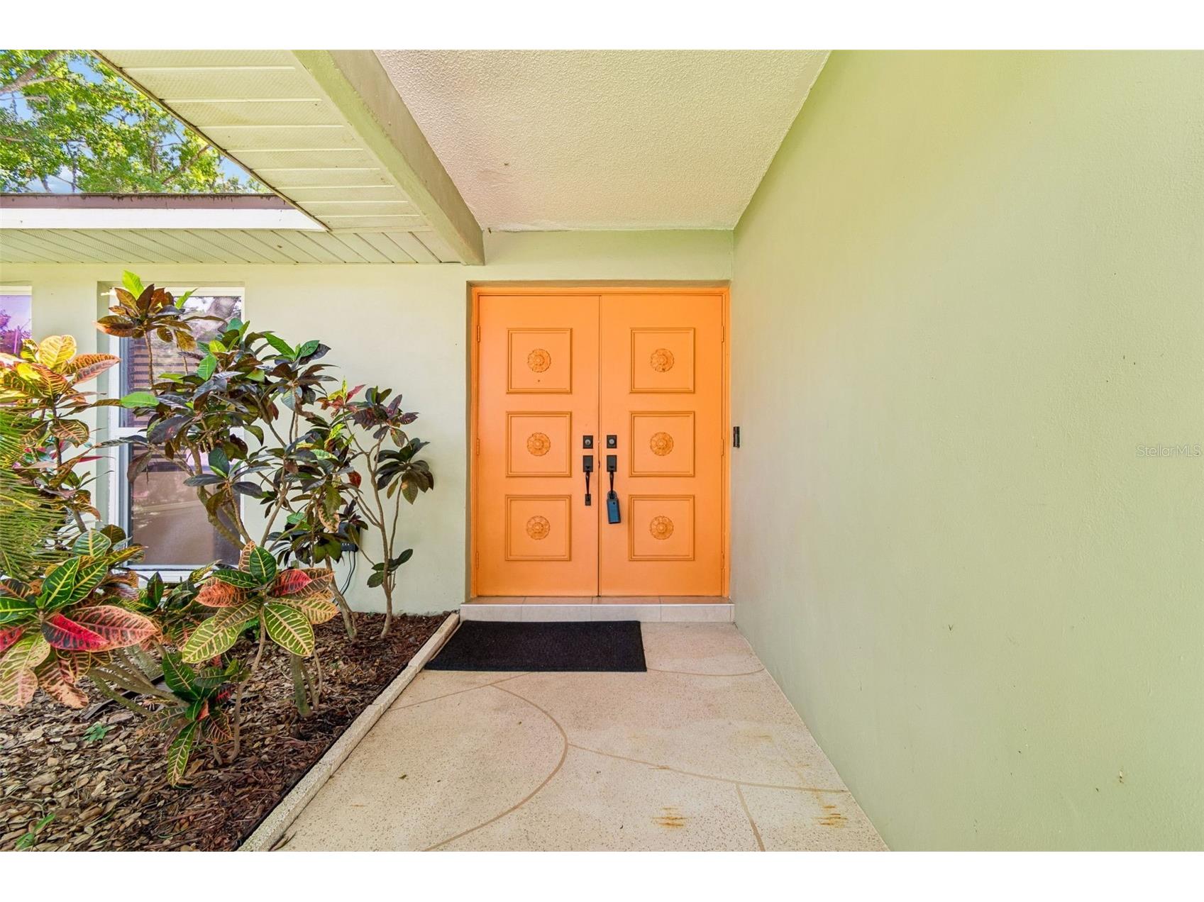 515 Sandy Hook Road Palm Harbor FL 34683 TB8513657 image5