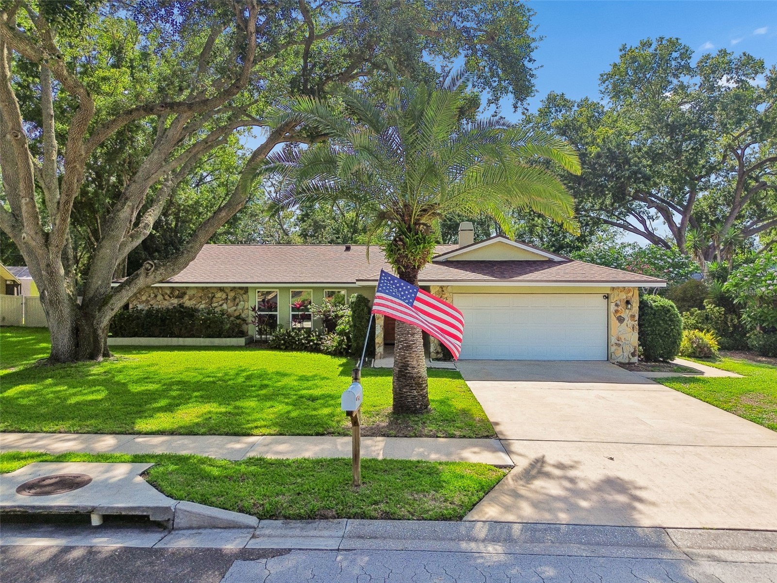 515 Sandy Hook Road Palm Harbor FL 34683 TB8513657 image58