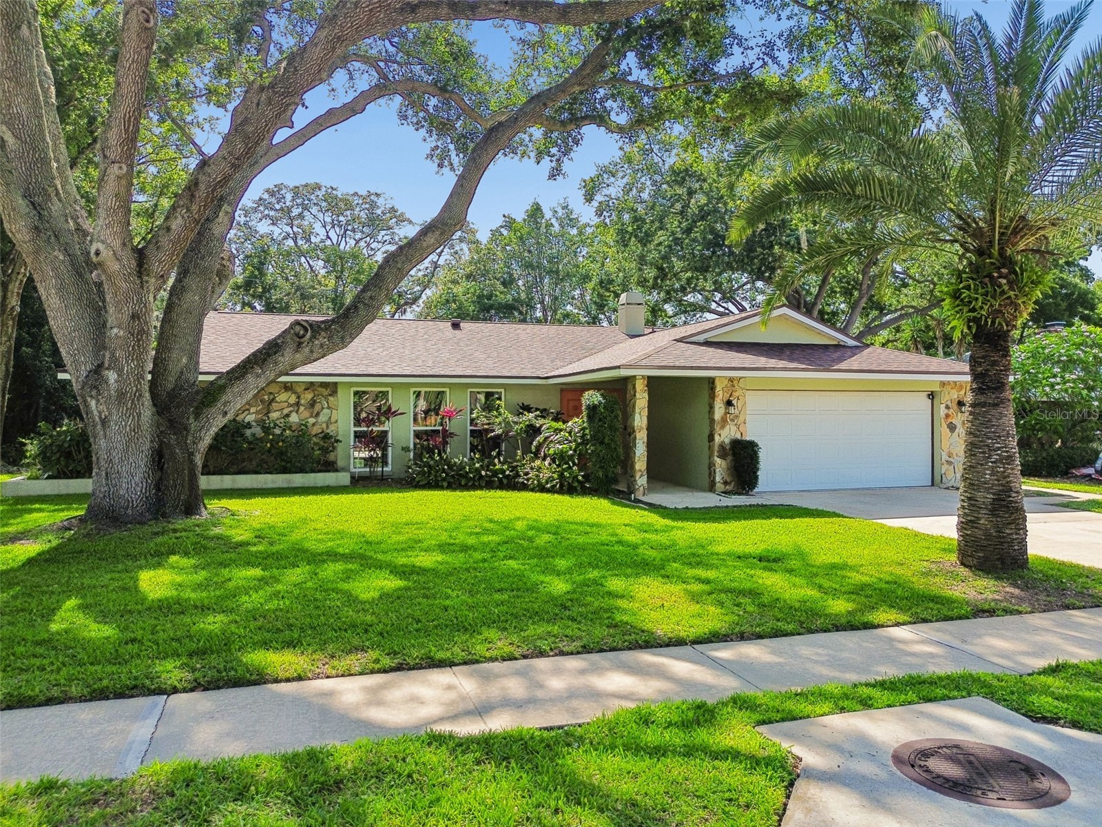 515 Sandy Hook Road Palm Harbor FL 34683 TB8513657 image59