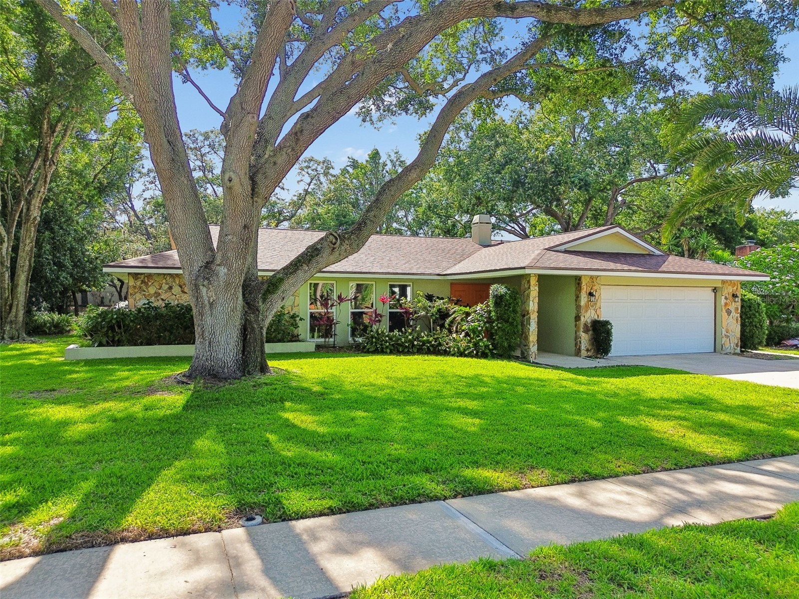 515 Sandy Hook Road Palm Harbor FL 34683 TB8513657 image60