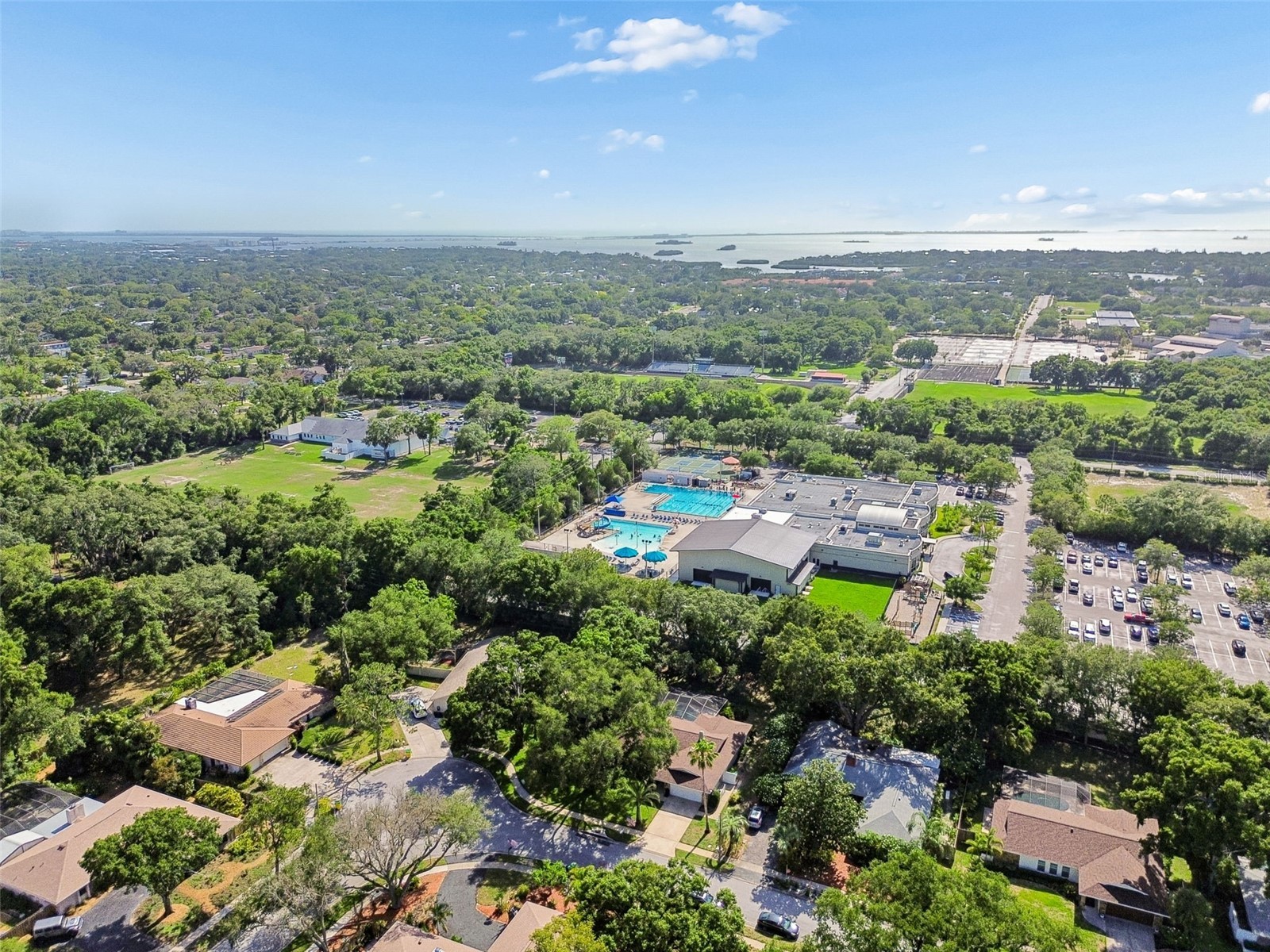 515 Sandy Hook Road Palm Harbor FL 34683 TB8513657 image65