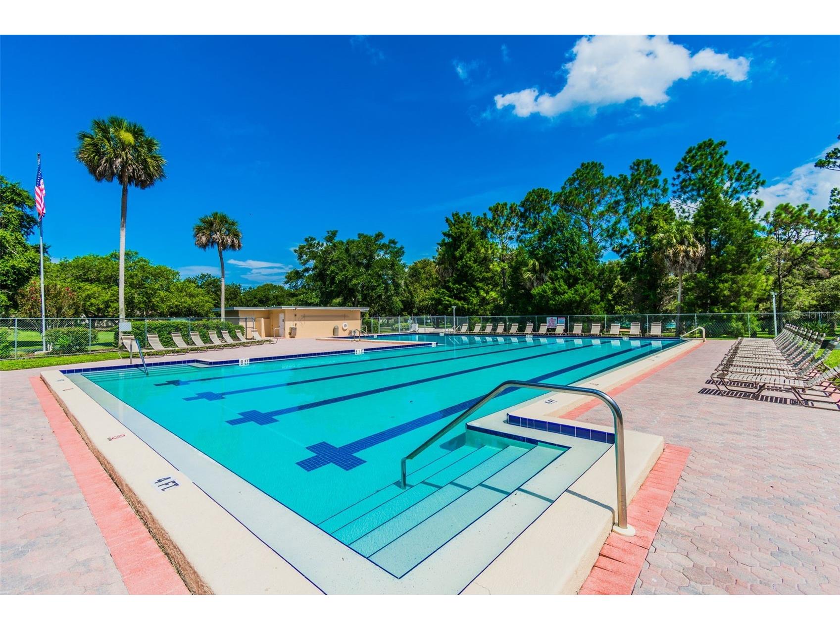 515 Sandy Hook Road Palm Harbor FL 34683 TB8513657 image73