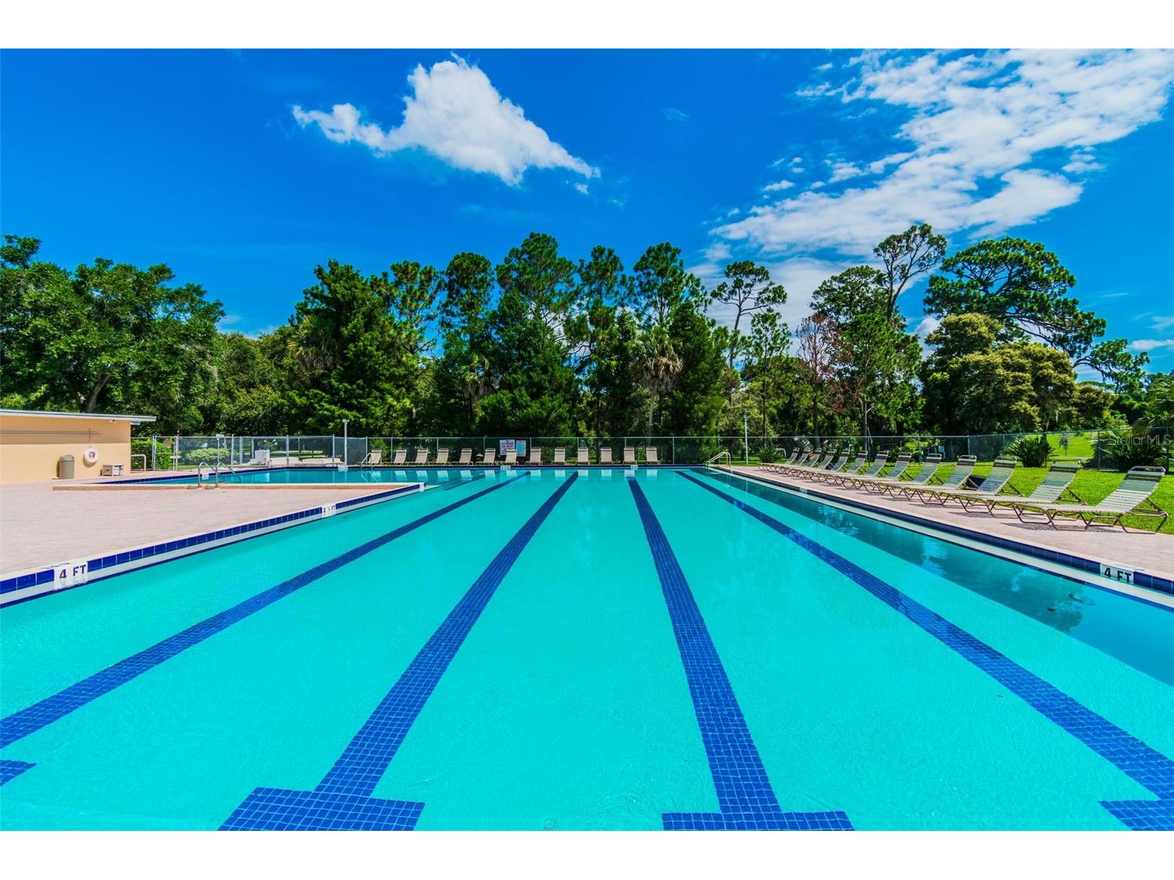 515 Sandy Hook Road Palm Harbor FL 34683 TB8513657 image74