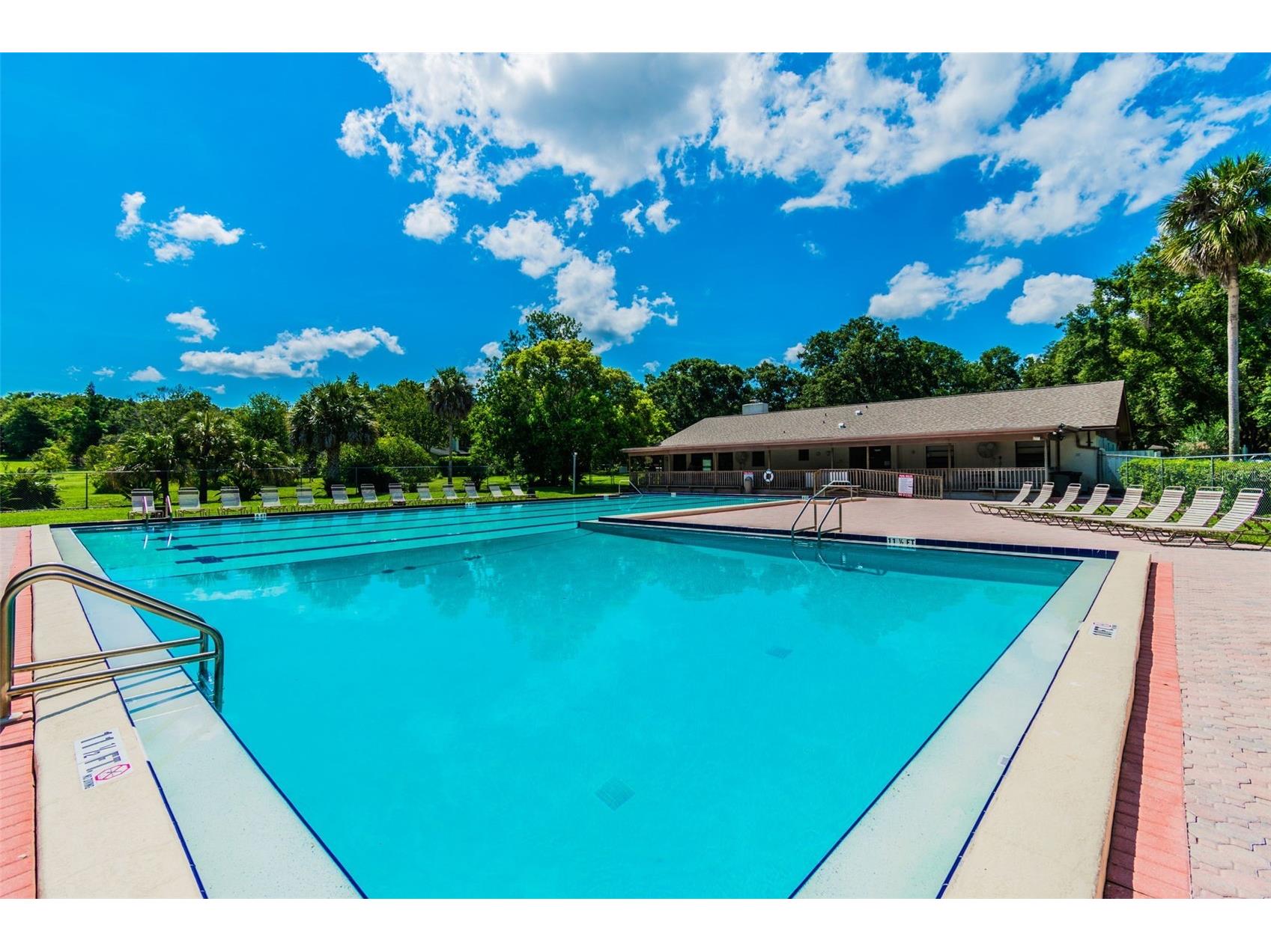 515 Sandy Hook Road Palm Harbor FL 34683 TB8513657 image75