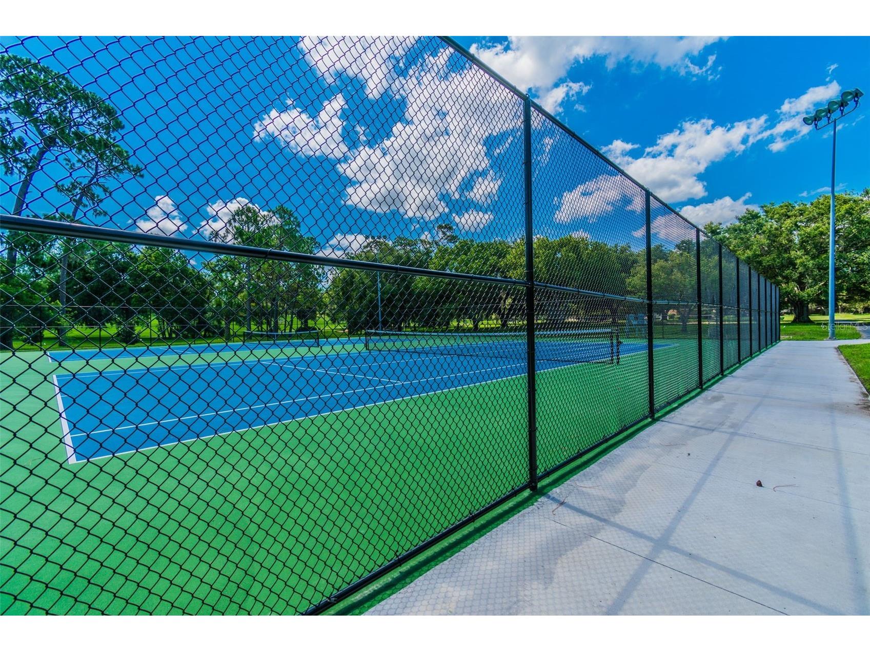 515 Sandy Hook Road Palm Harbor FL 34683 TB8513657 image78