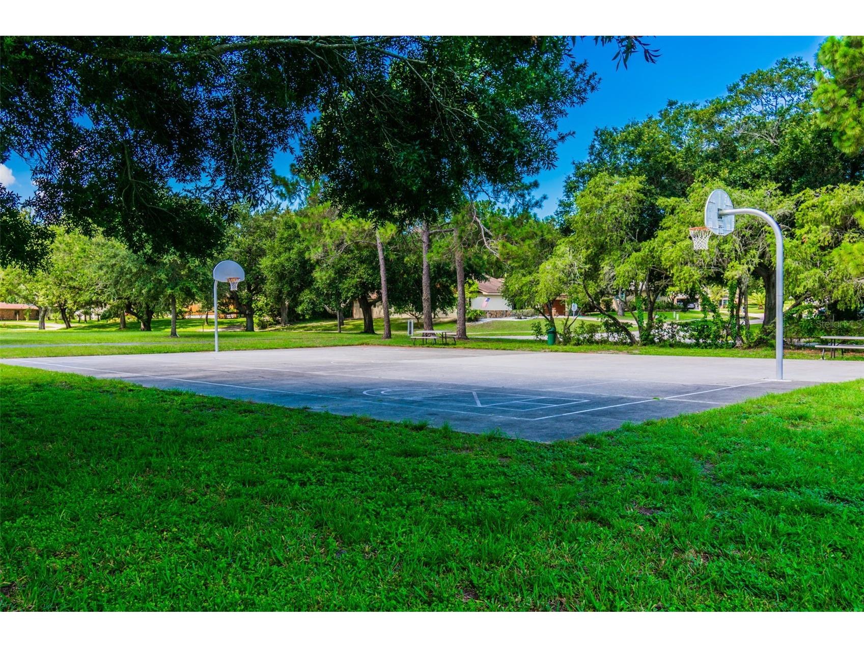 515 Sandy Hook Road Palm Harbor FL 34683 TB8513657 image79