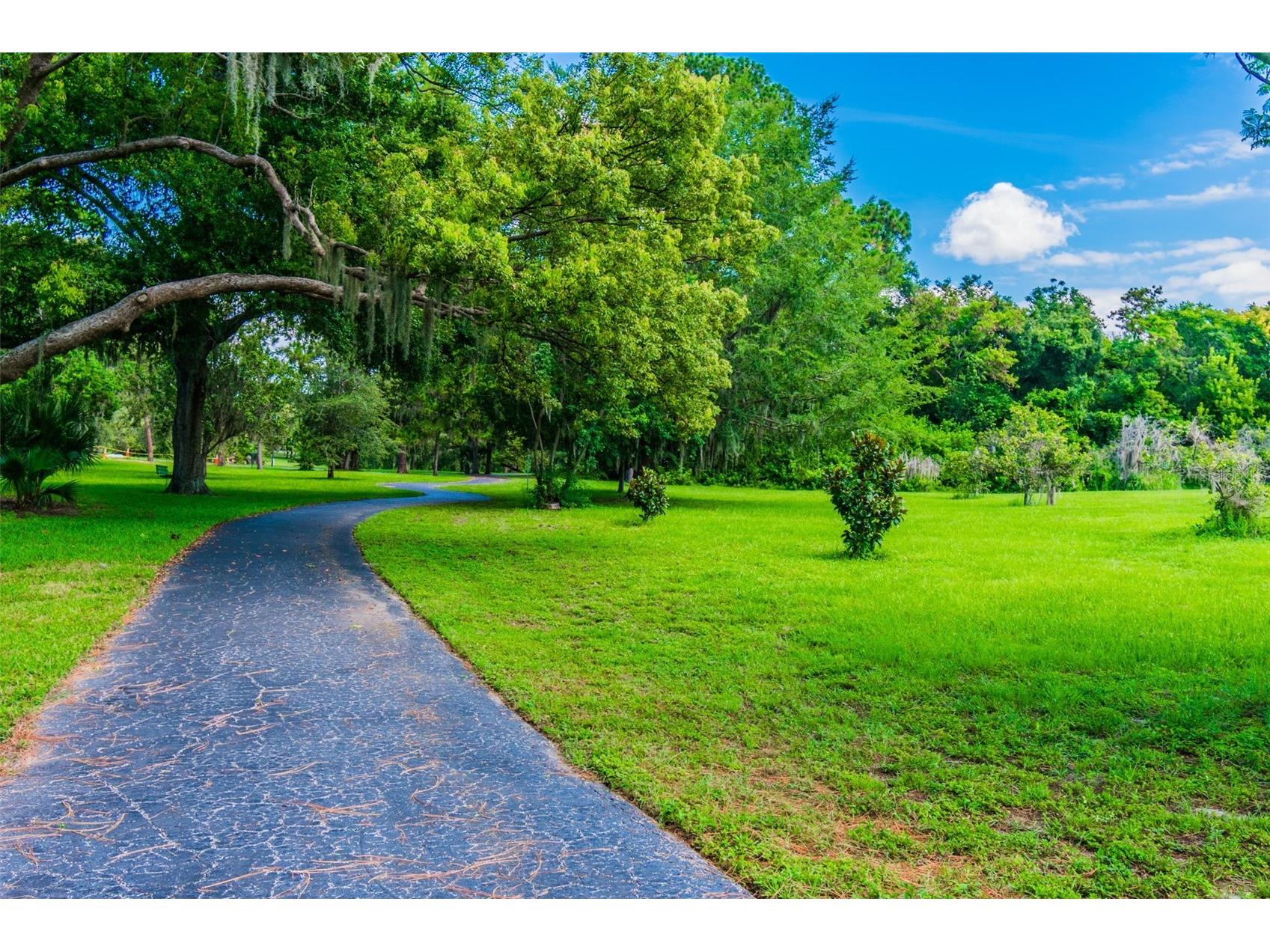 515 Sandy Hook Road Palm Harbor FL 34683 TB8513657 image82