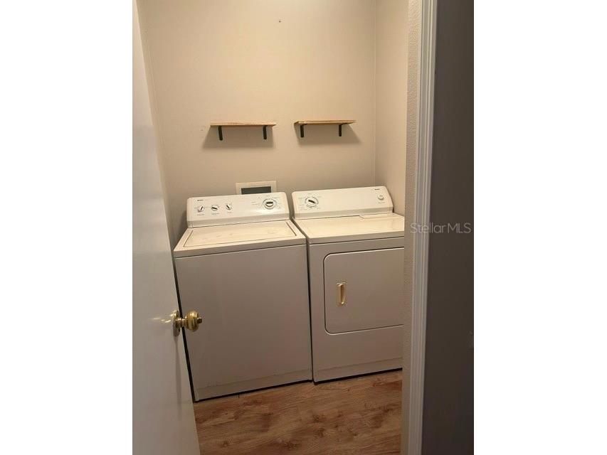 515 Scarlet Maple Court Plant City FL 33563 L4962598 image14