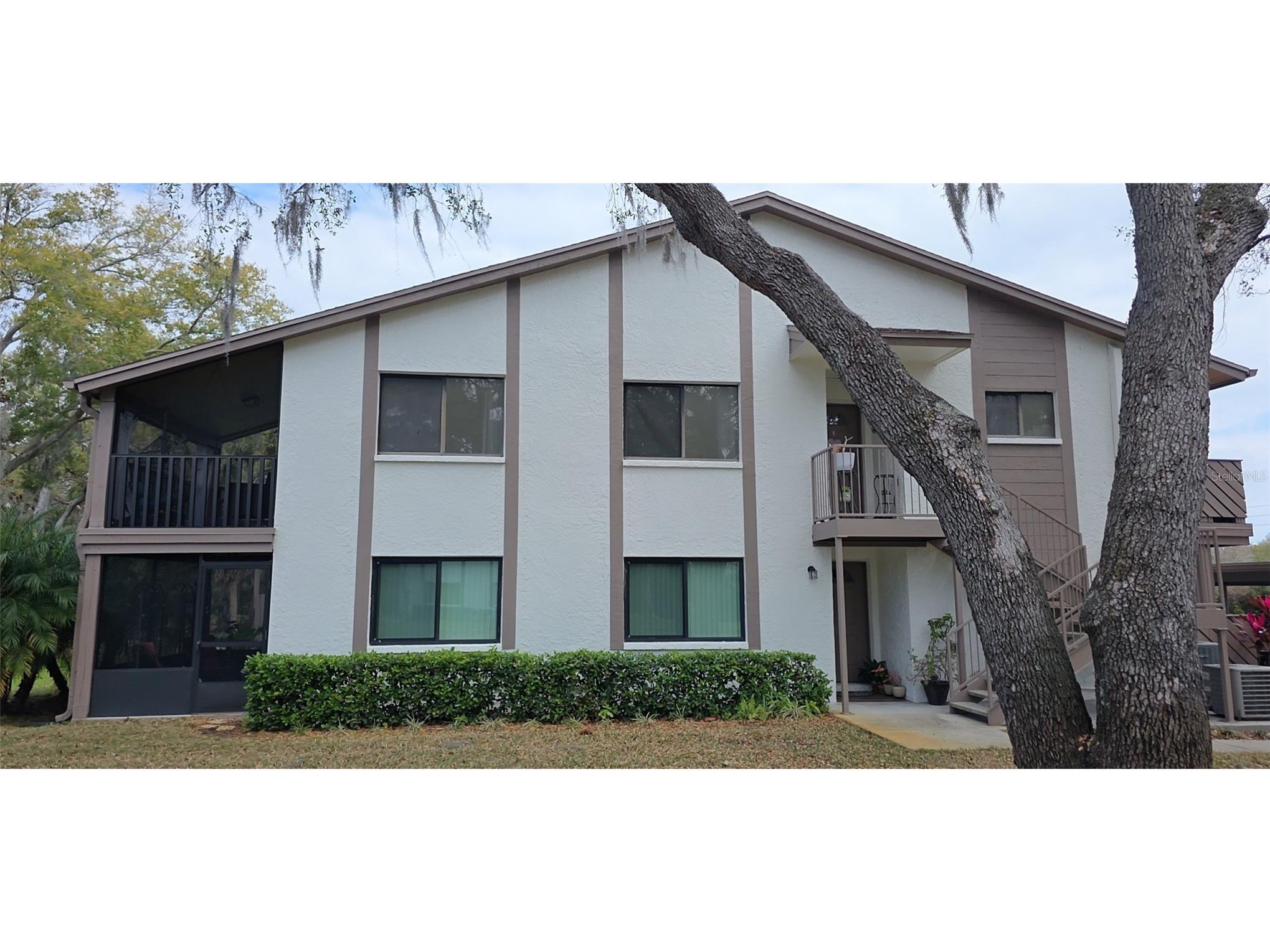 515 Tabor Court #C Safety Harbor FL 34695 TB8499922 image1