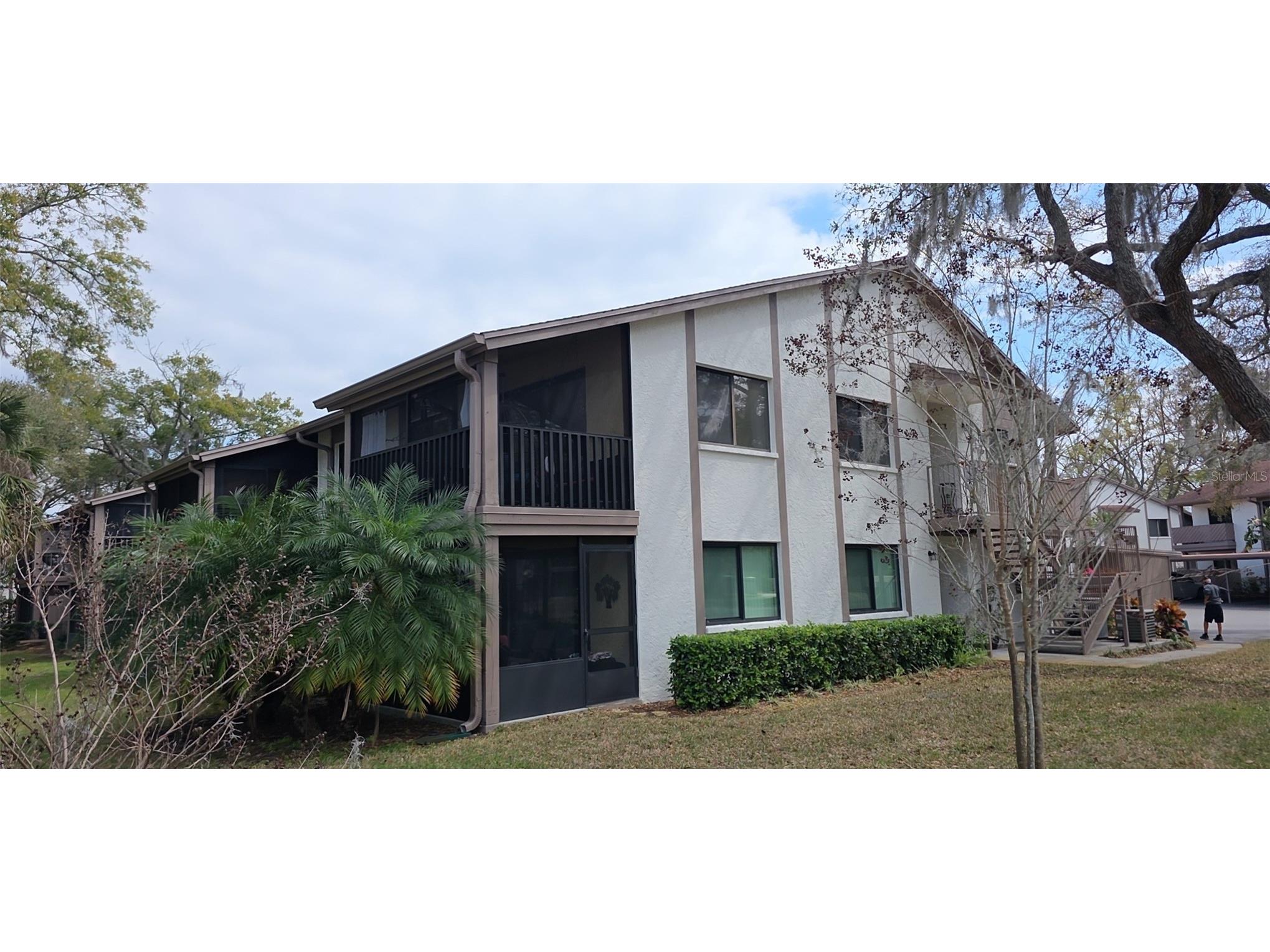515 Tabor Court #C Safety Harbor FL 34695 TB8499922 image2