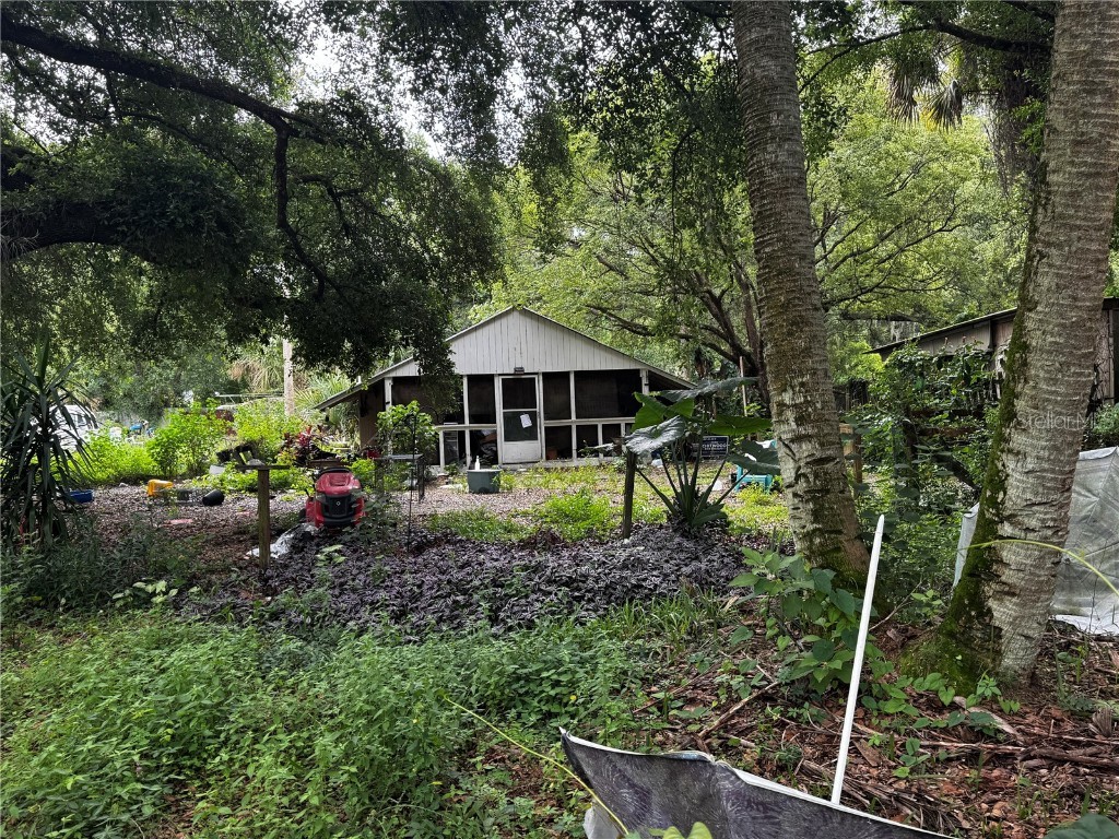 515 Thistle Hill Drive Osteen FL 32764 V4943217 image1