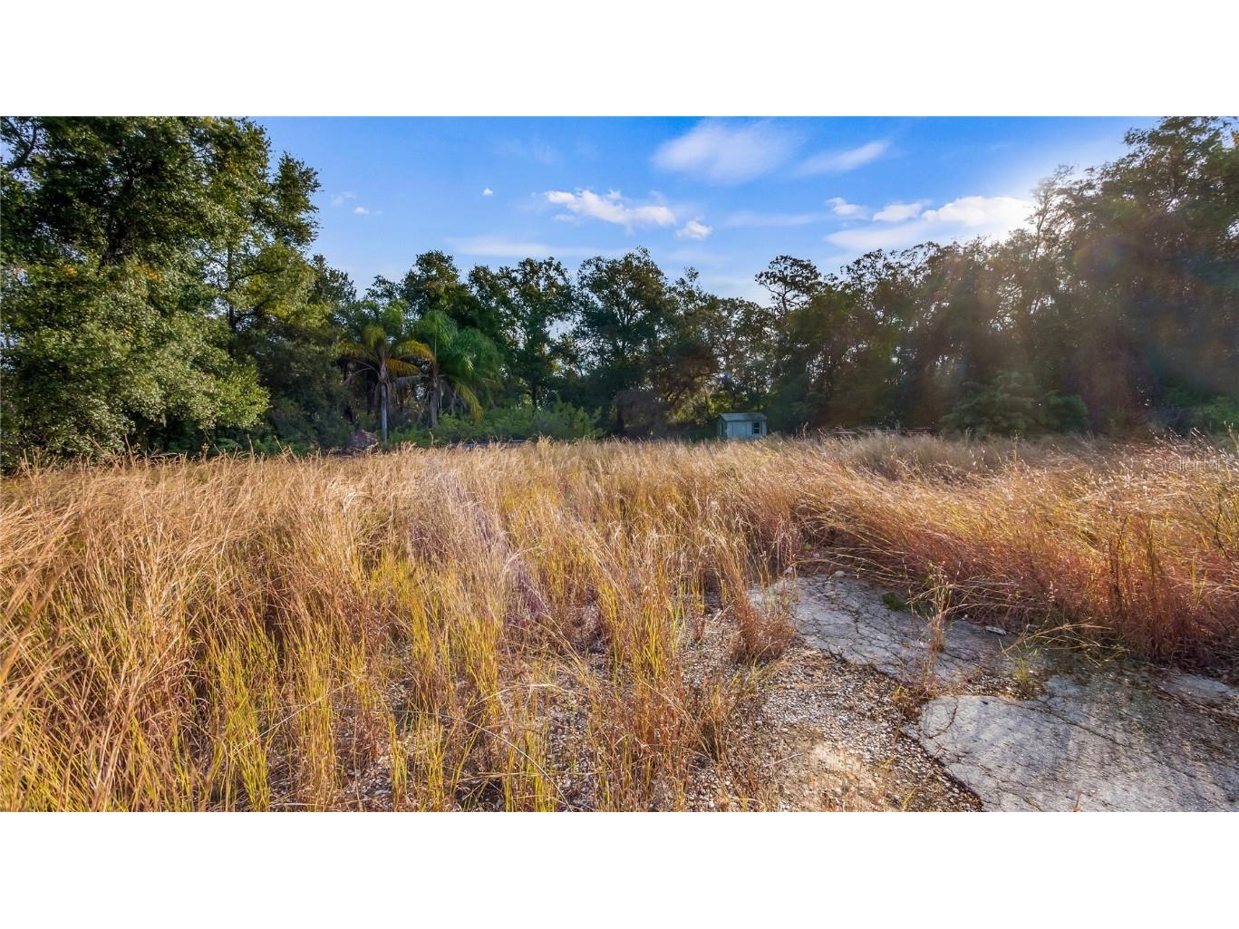 515 Us Highway 27 Clermont FL 34715 G5105392 image17