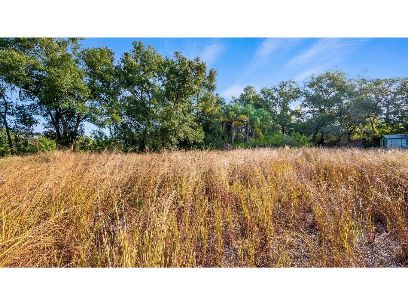 515 Us Highway 27 Clermont FL 34715 G5105392 image18