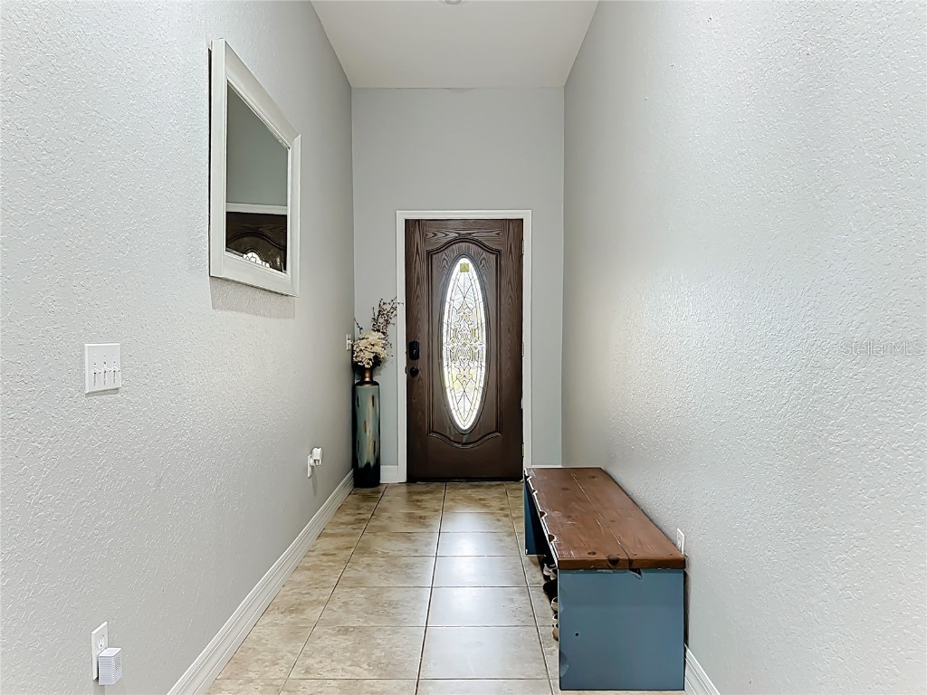 515 Villa Treviso Court Apollo Beach FL 33572 TB8415387 image6