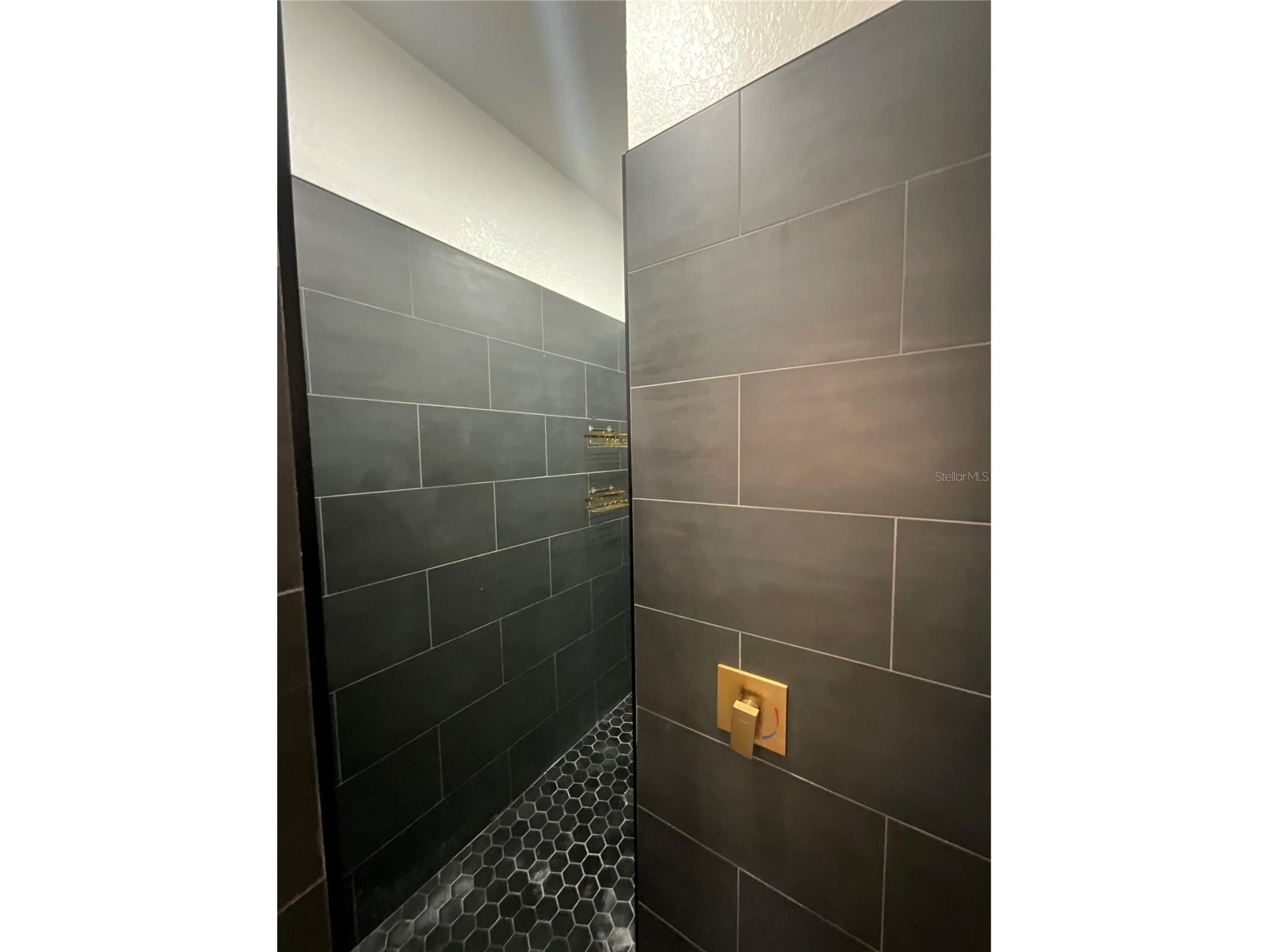 515 Villa Treviso Court Apollo Beach FL 33572 TB8486954 image11