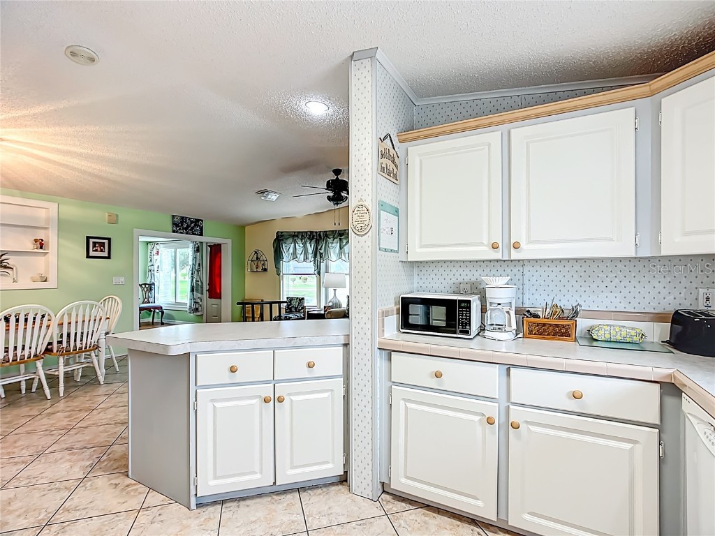 515 Village Boulevard Frostproof FL 33843 TB8415823 image10