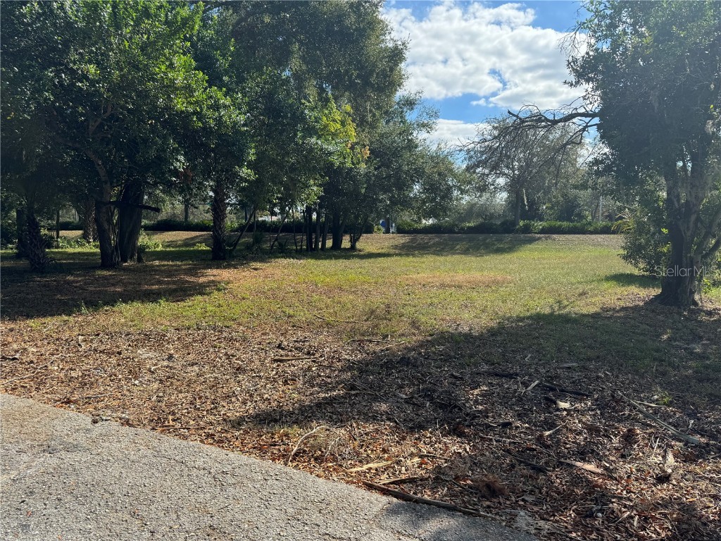 515 W Magnolia Street Lakeland FL 33815 P4933408 image3