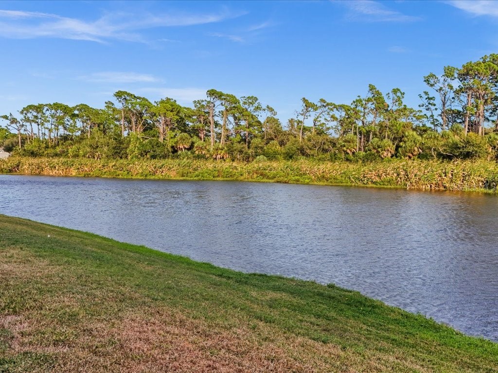 515 Wekiva River Court #81 Englewood FL 34223 D6144664 image17