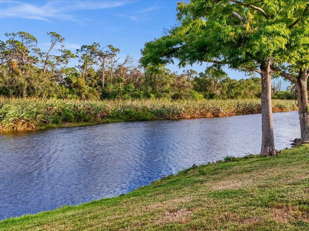 515 Wekiva River Court #81 Englewood FL 34223 D6144664 image19
