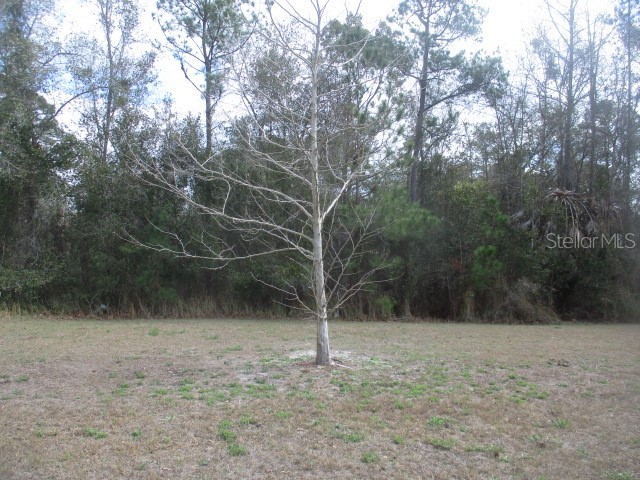 5150 Diantha Way Brooksville FL 34604 TB8486635 image5