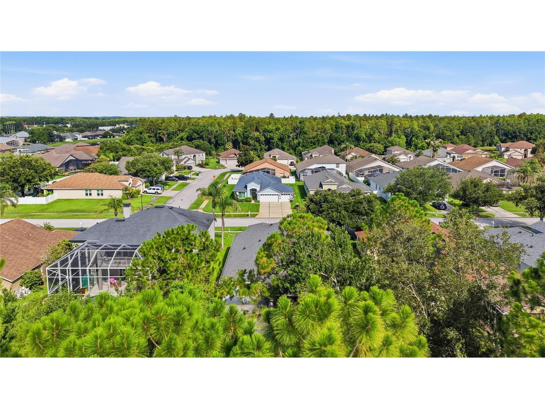 5150 Villagebrook Drive Wesley Chapel FL 33544 TB8519731 image52