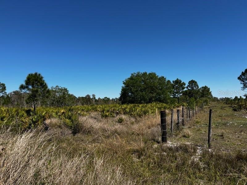 5151 Chiquita Drive Punta Gorda FL 33982 C7510636 image10