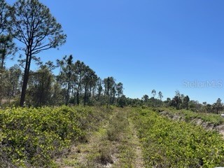 5151 Chiquita Drive Punta Gorda FL 33982 C7510636 image11