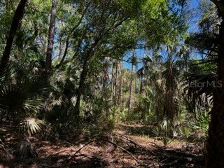 5151 Chiquita Drive Punta Gorda FL 33982 C7510636 image15