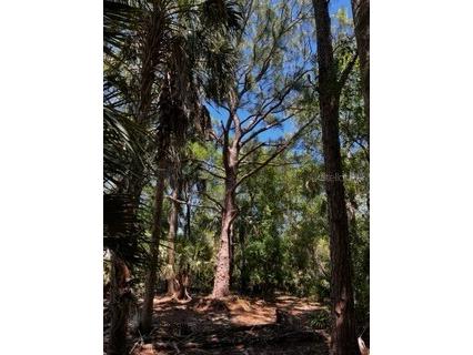 5151 Chiquita Drive Punta Gorda FL 33982 C7510636 image16