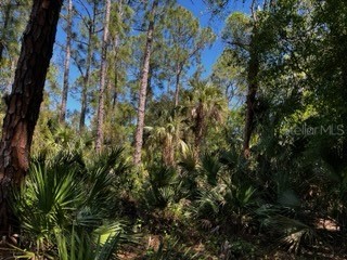 5151 Chiquita Drive Punta Gorda FL 33982 C7510636 image17