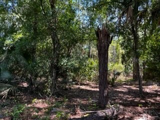 5151 Chiquita Drive Punta Gorda FL 33982 C7510636 image18