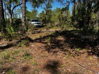 5151 Chiquita Drive Punta Gorda FL 33982 C7510636 image19